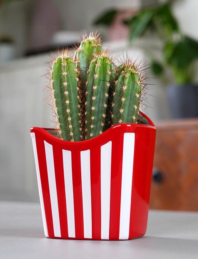 French Fries Planter