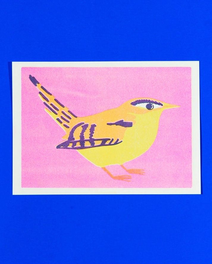 Wren A5 Risograph Print