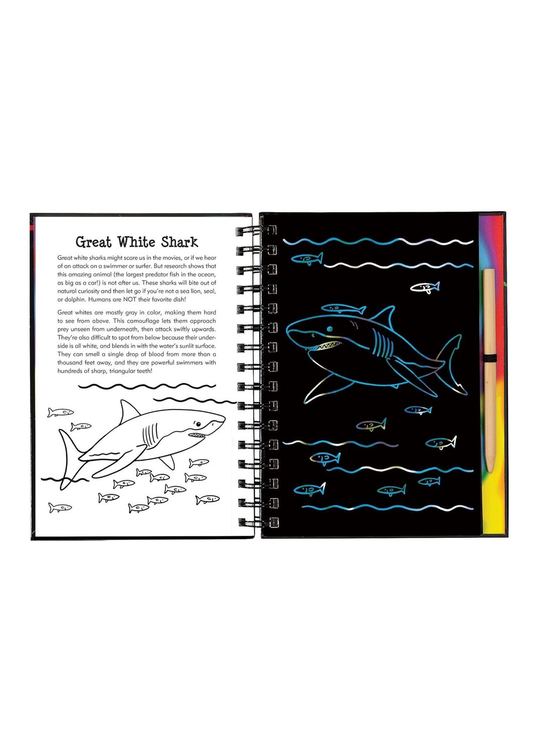 Scratch And Sketch Sharks Hardcover Spiral Book