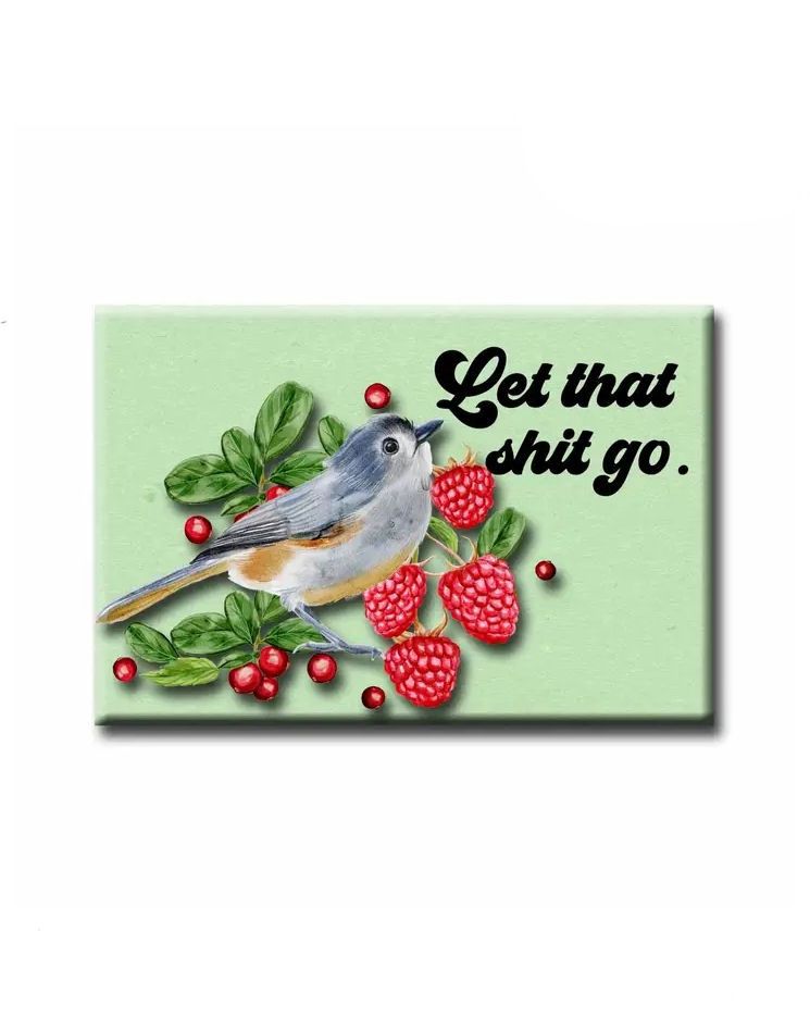 Let That Shit Go Bird Magnet