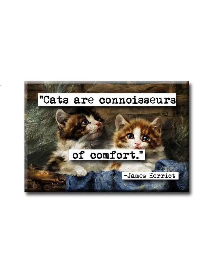 Cats Are Connoisseurs Of Comfort Magnet