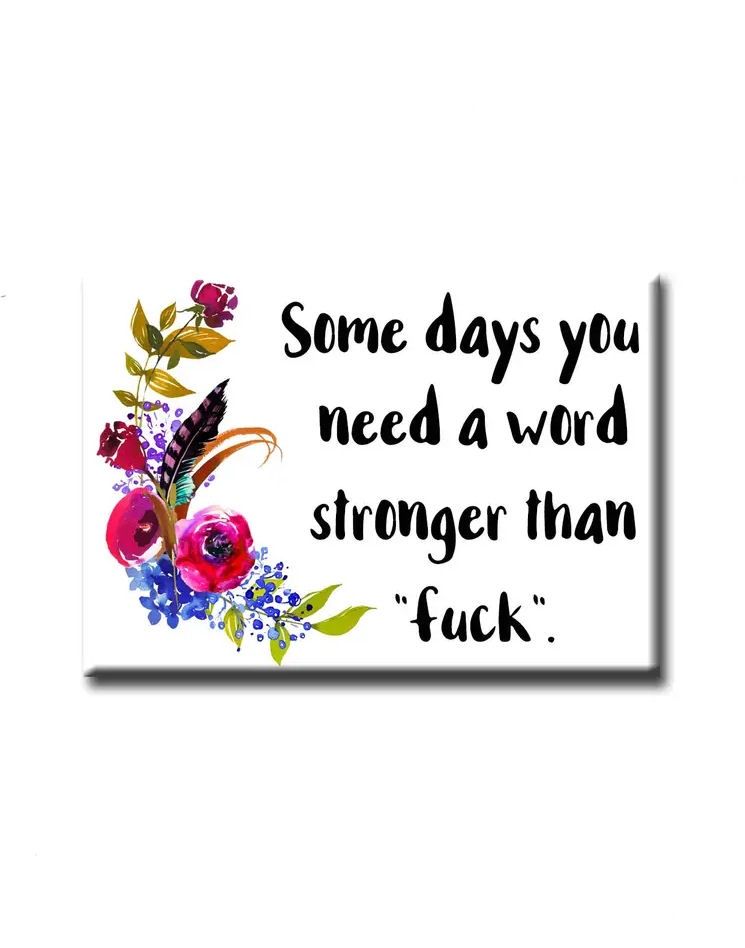 Some Days You Need A Word Stronger Than Fuck Magnet