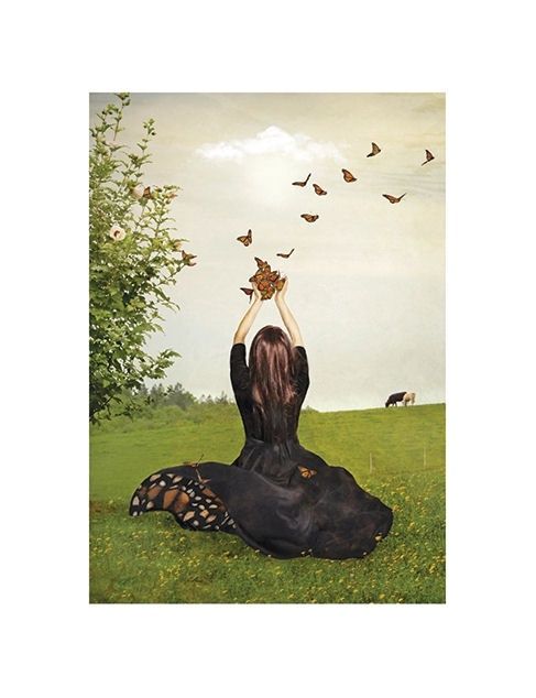 Benevolent World Butterflies Card