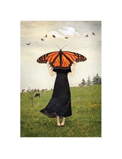 May Timid Wings Awake Butterfly Card