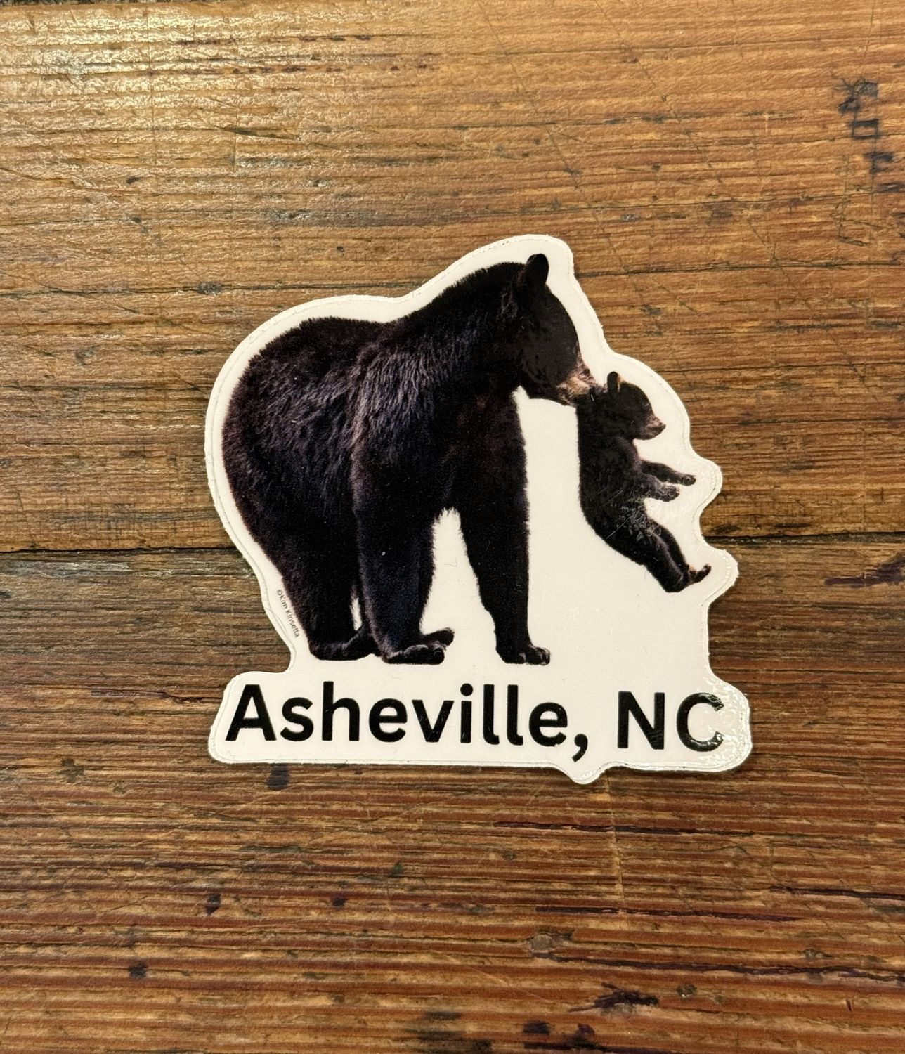 Mama And Cub Bear Asheville NC Sticker