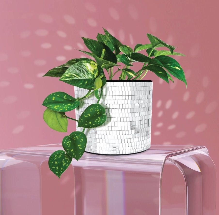 Disco Mirror Tabletop Planter