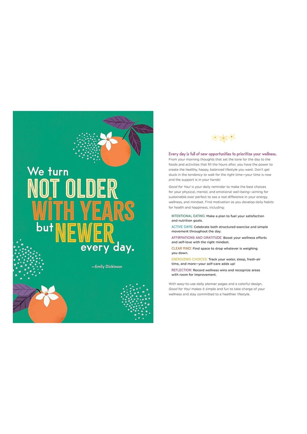 Good For You Wellness Planner Flexibound Book