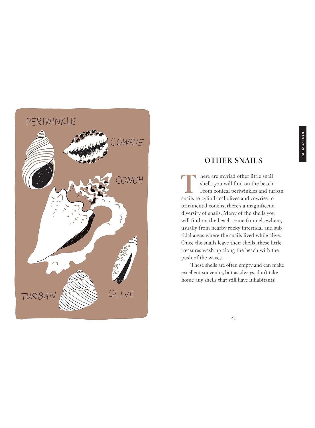 Pocket Nature Series: Beachcombing Hardcover Book
