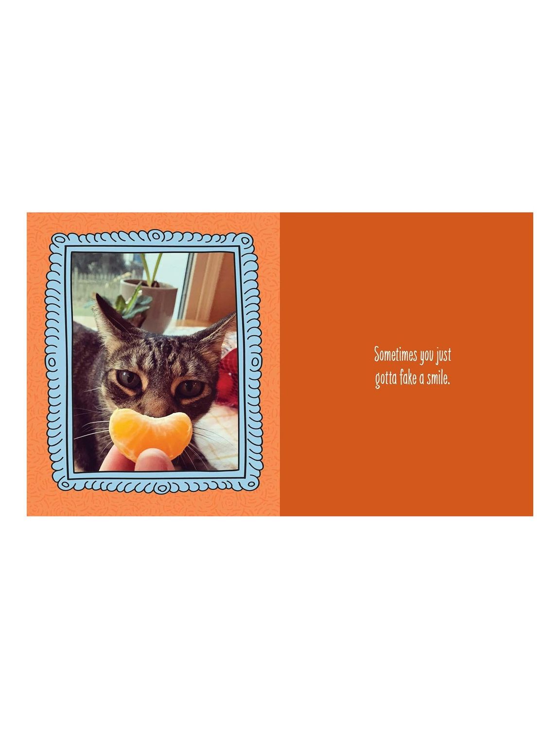 Cats Are Cheaper Than Therapy Hardcover Book
