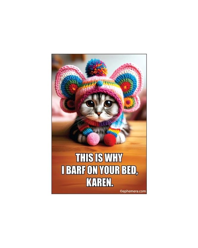 This Is Why I Barf On Your Bed, Karen Magnet