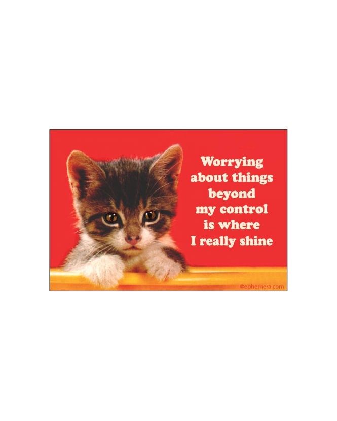 Worrying About Things Beyond My Control Is Where I Really Shine Magnet