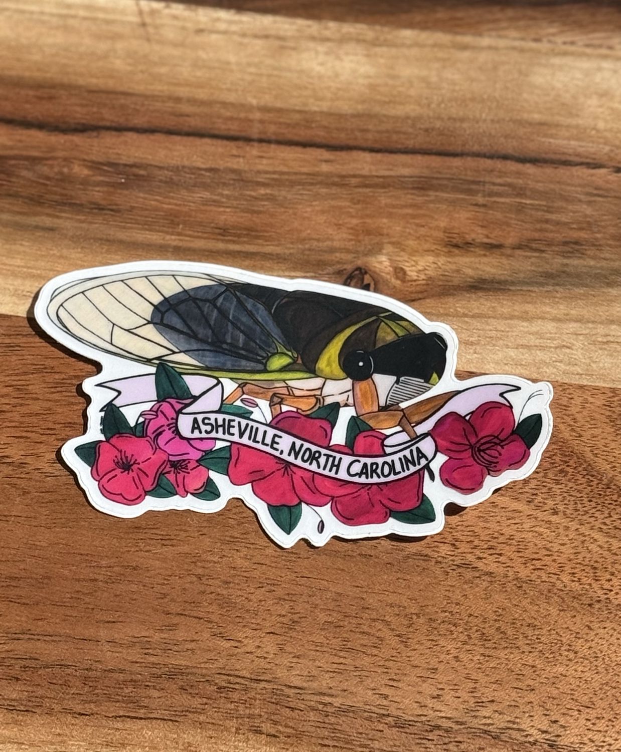 Asheville, North Carolina Cicada Sticker