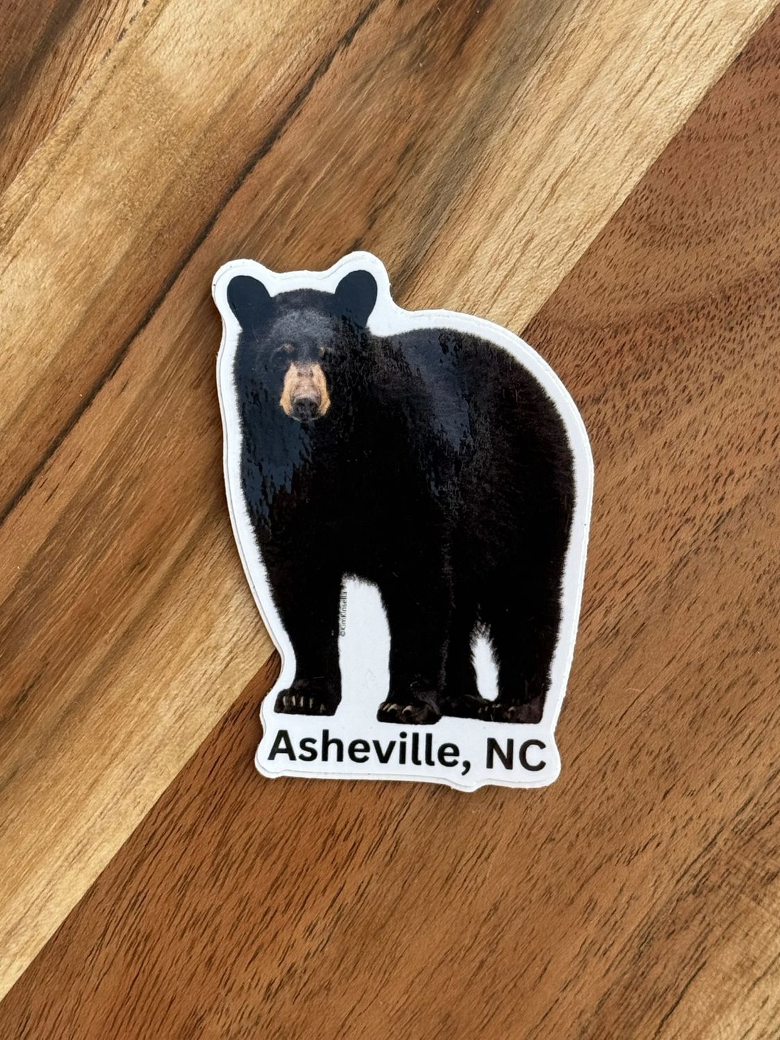 Just Bear Asheville NC Sticker