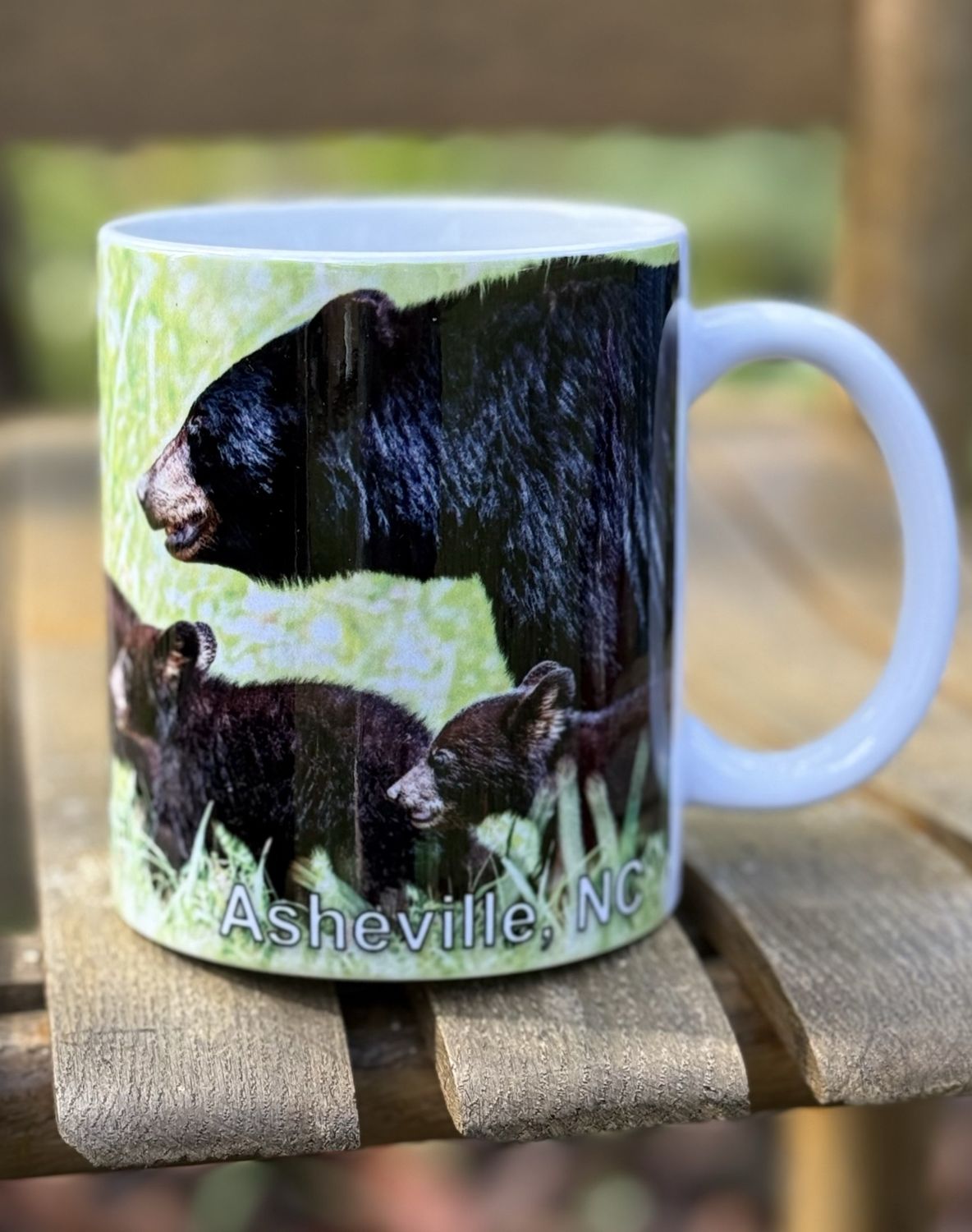 Family Outing Bear Asheville Mug