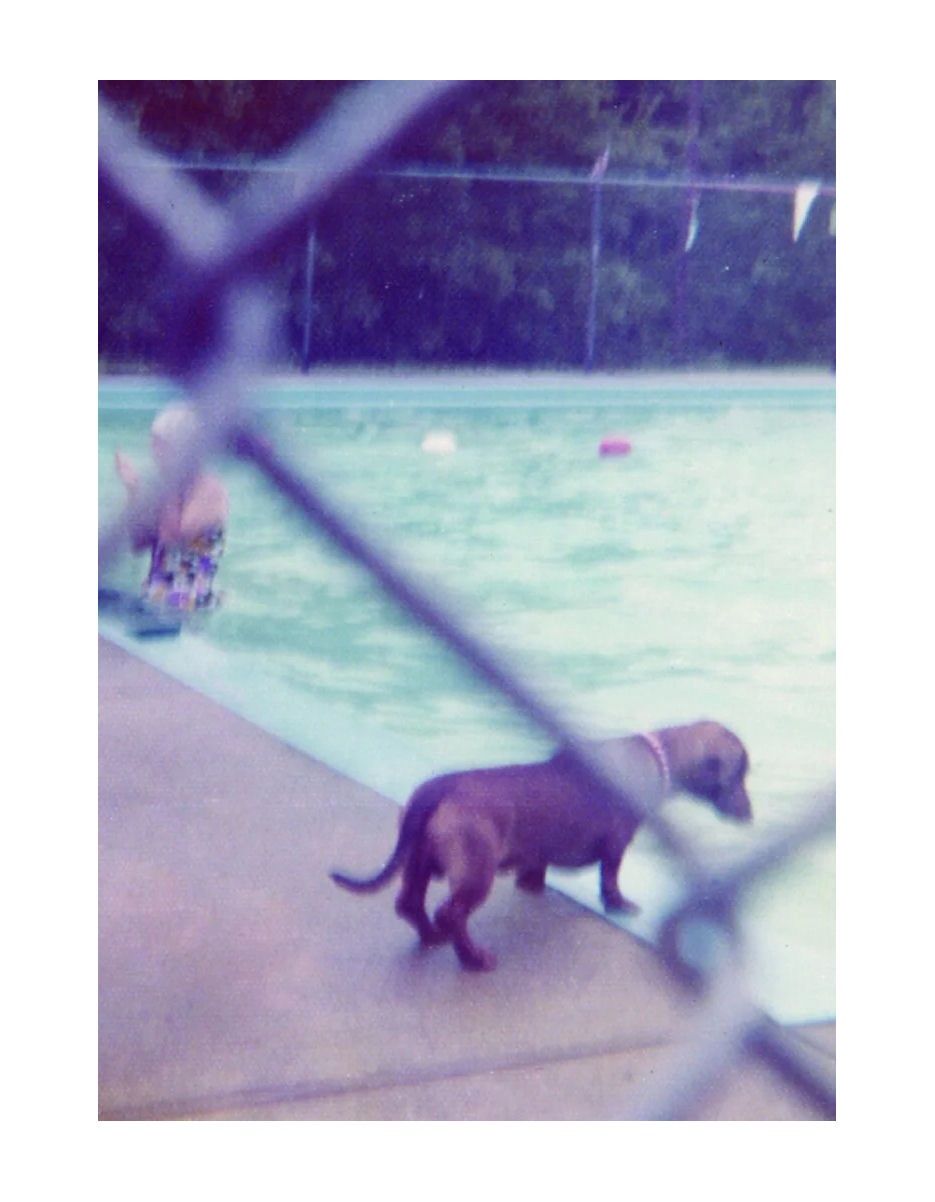 Weiner Shrinks When It Hits The Pool Card