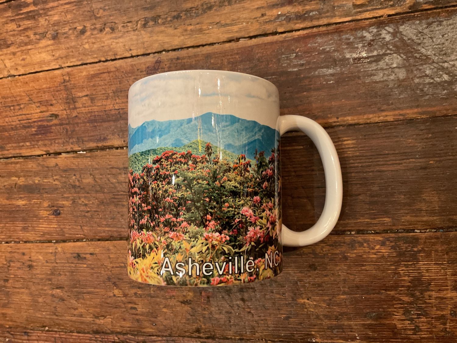 Mountain Meadow Asheville Mug