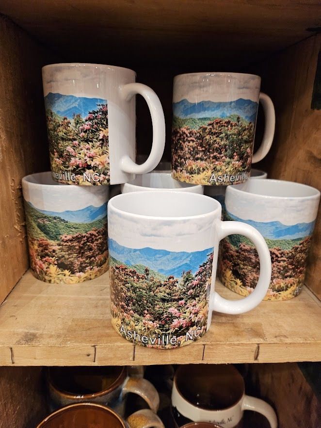 Mountain Meadow Asheville Mug