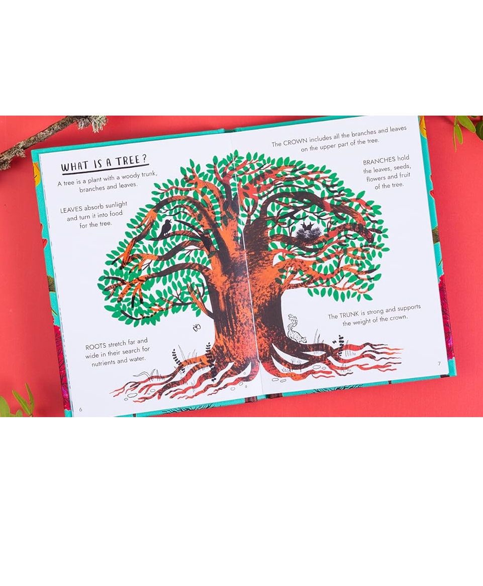 Hello Trees: A Little Guide To Nature Hardcover Book