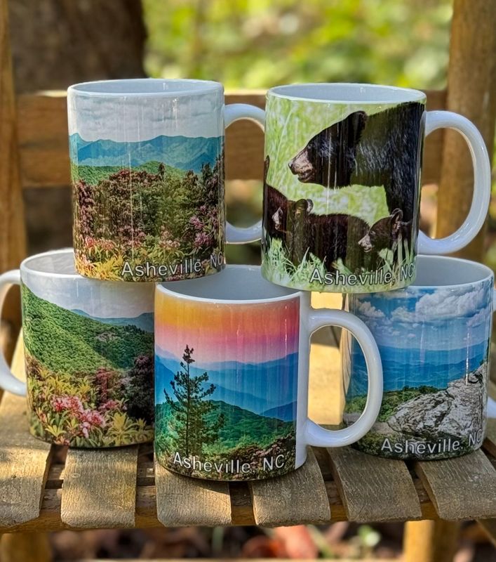 Asheville Souvenirs