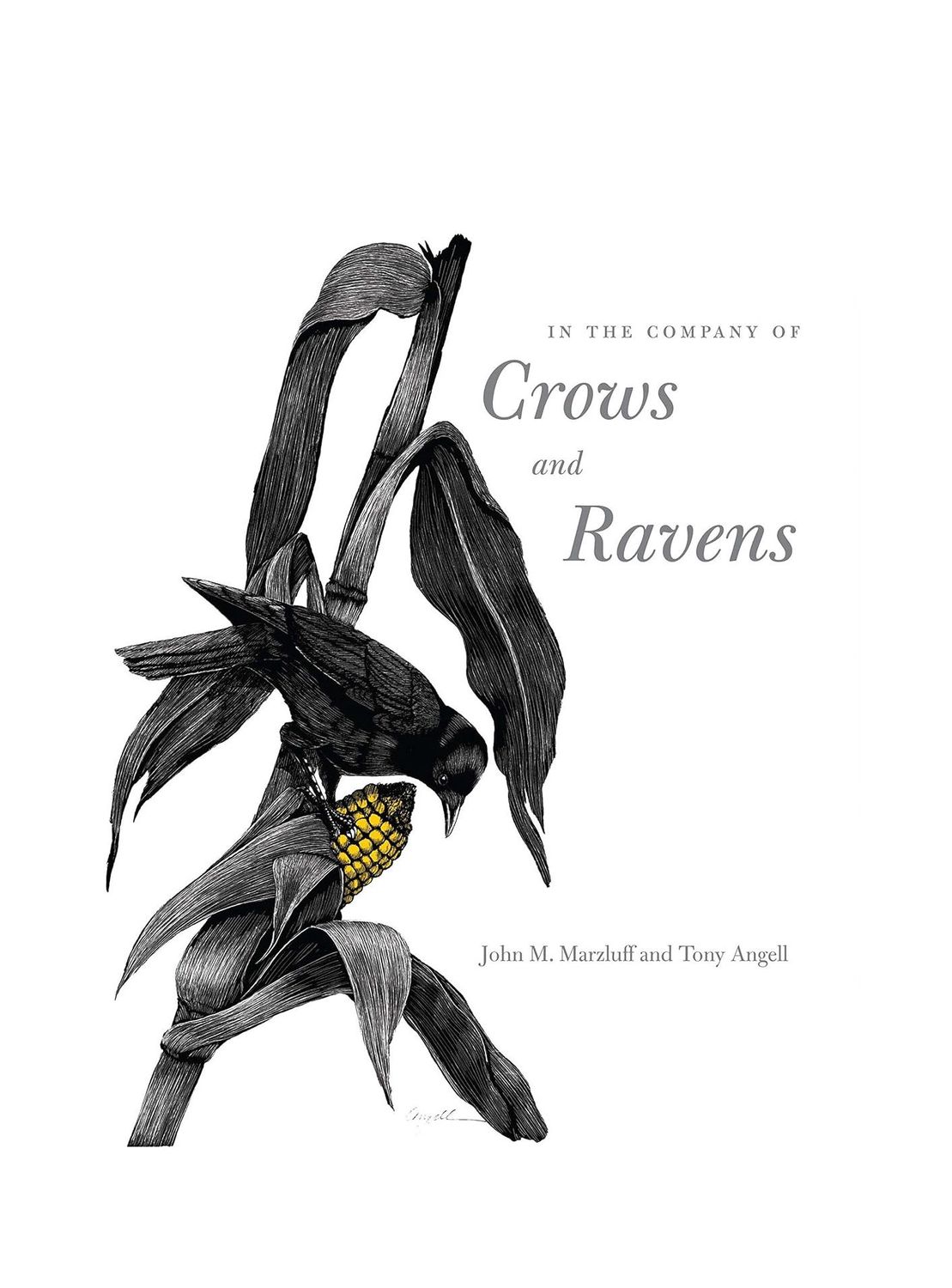 In The Company Of Crows And Ravens Paperback Book