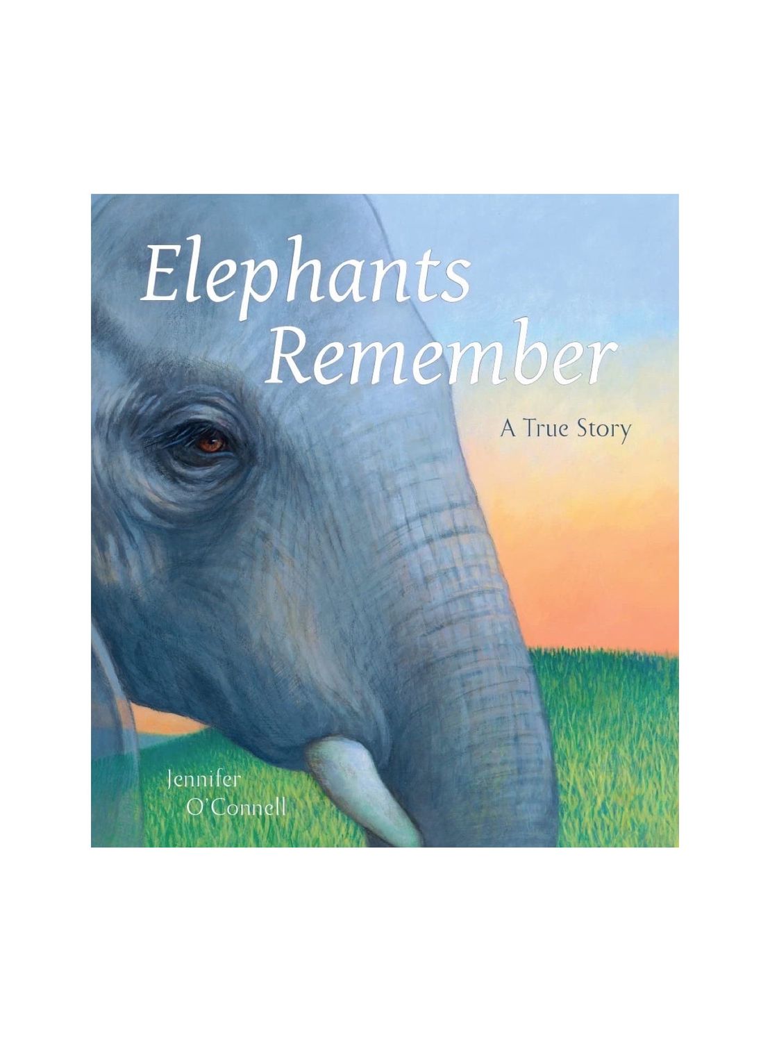Elephants Remember Hardcover Book