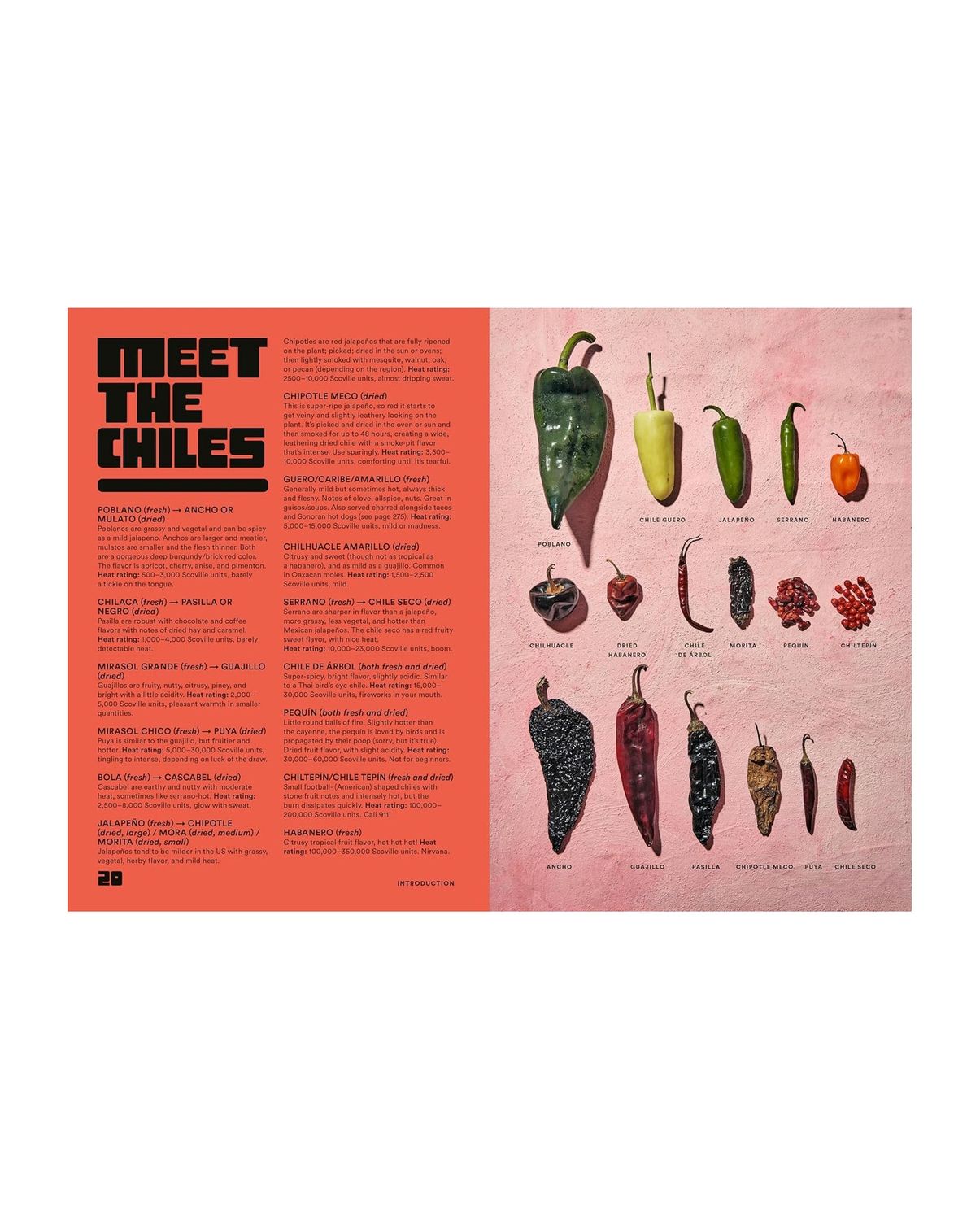 Salsa Daddy Cookbook Hardcover Book