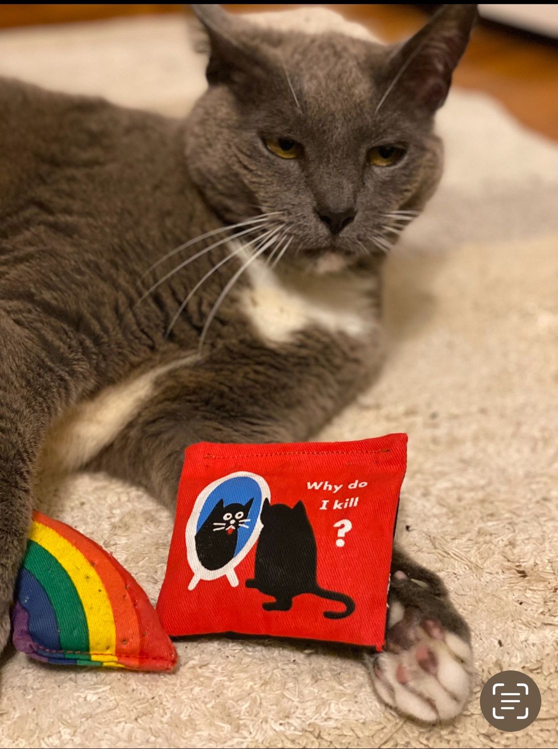 Existential Kitty Catnip Toy