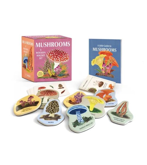 Mushroom Wooden Magnet Set
