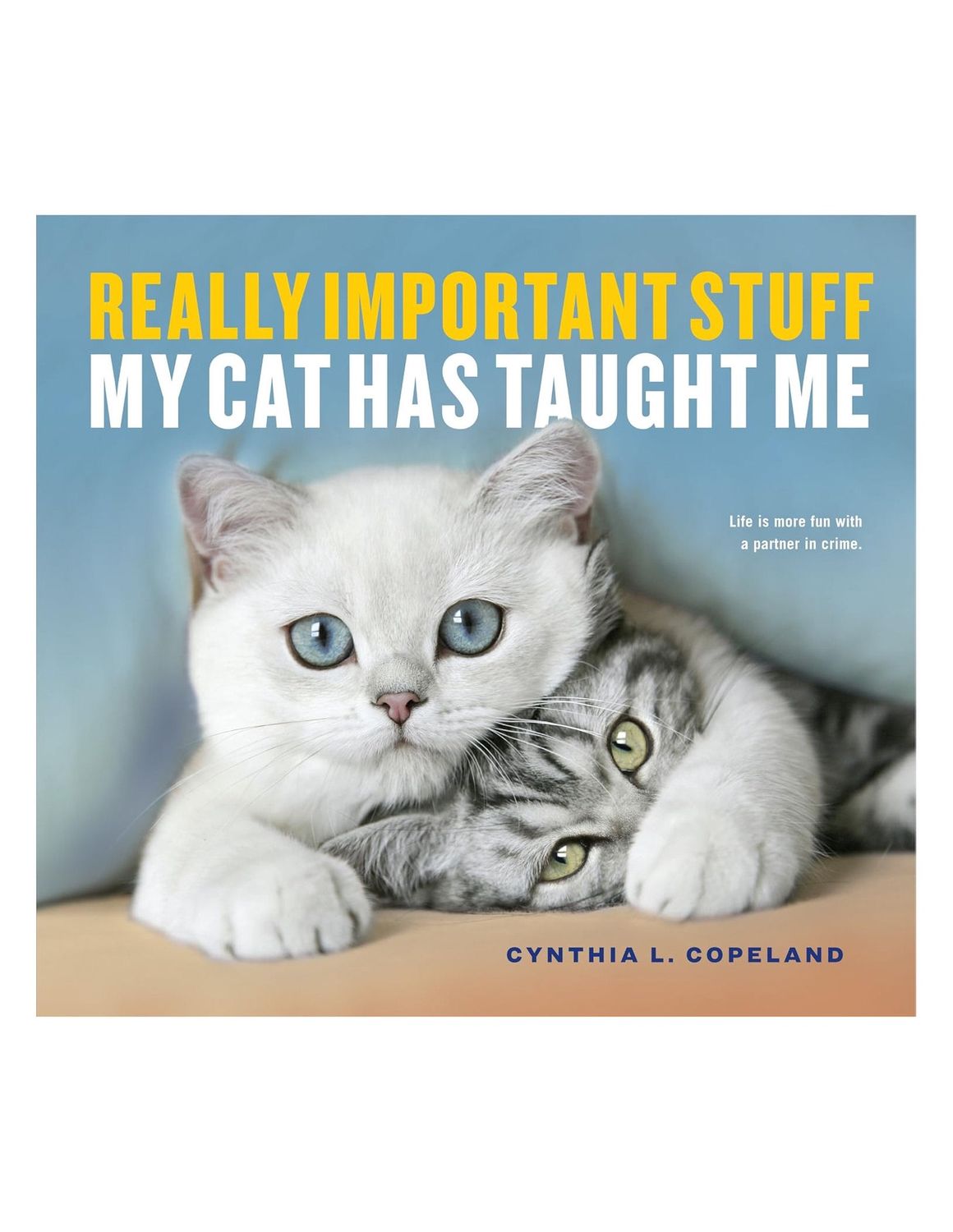 Really Important Stuff My Cat Has Taught Me Paperback Book