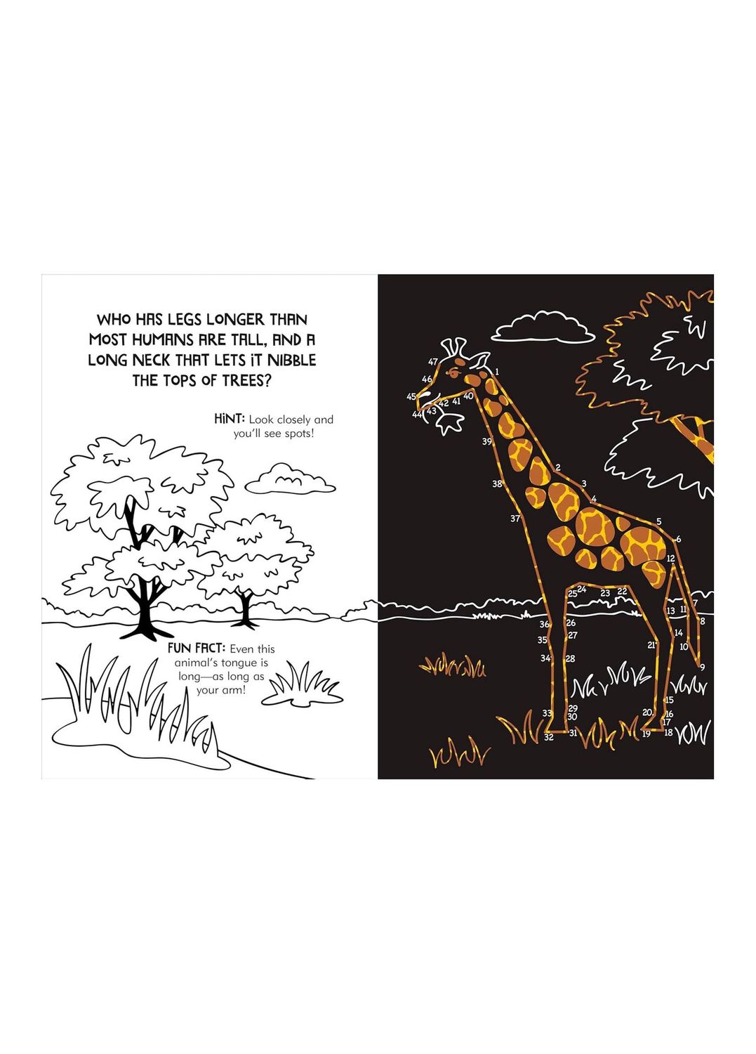Scratch And Sketch Dot-To-Dot Hardcover Spiral Book