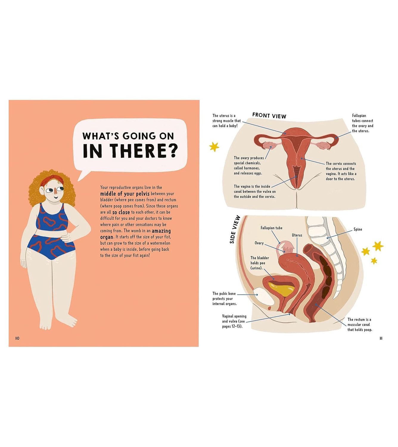 We Need To Talk About Vaginas Flexibound Book