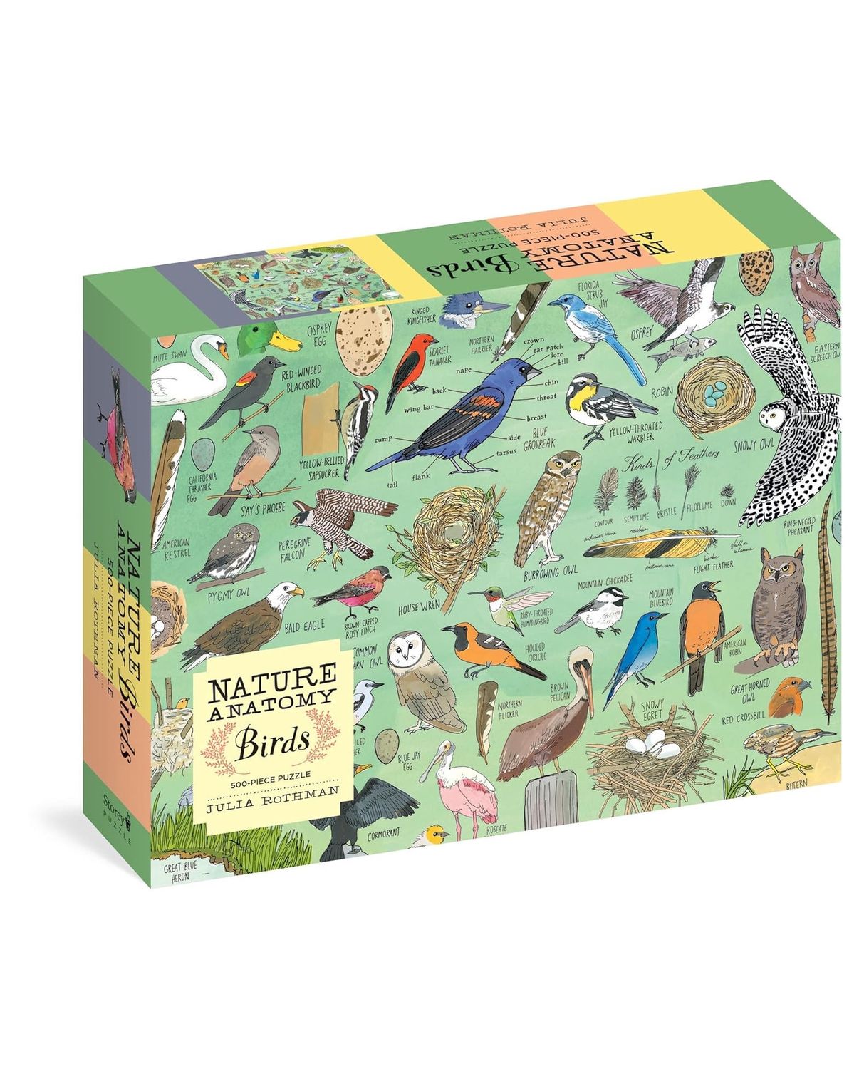 Nature Anatomy Birds 500 Piece Puzzle