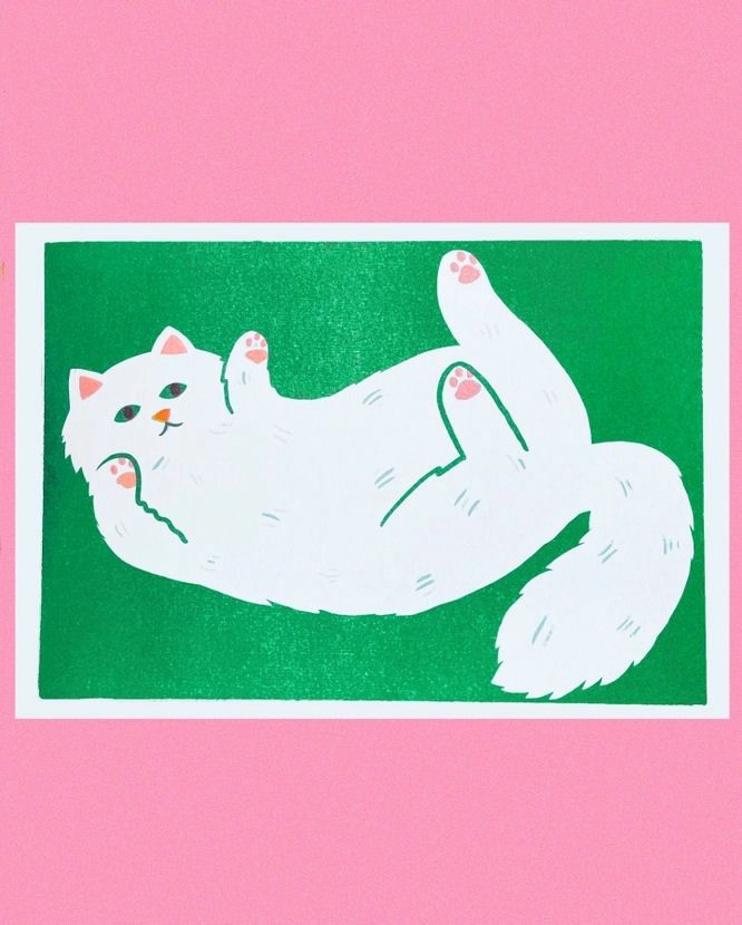 White Tummy Cat A4 Risograph Print