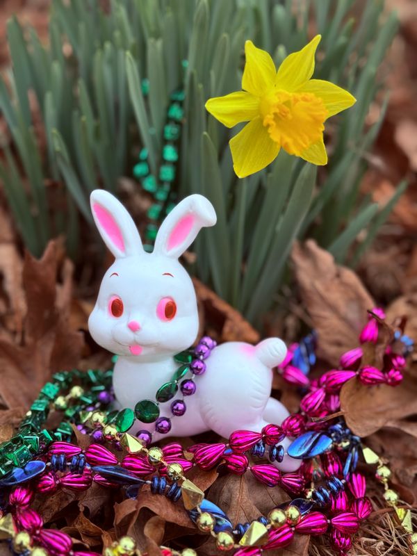 Spring Is In The Air