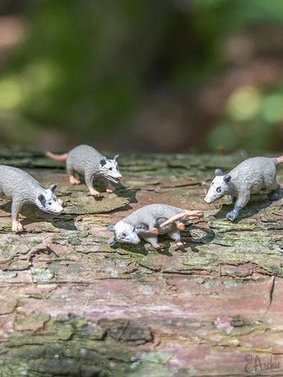 Itty Bitty And Finger Puppets