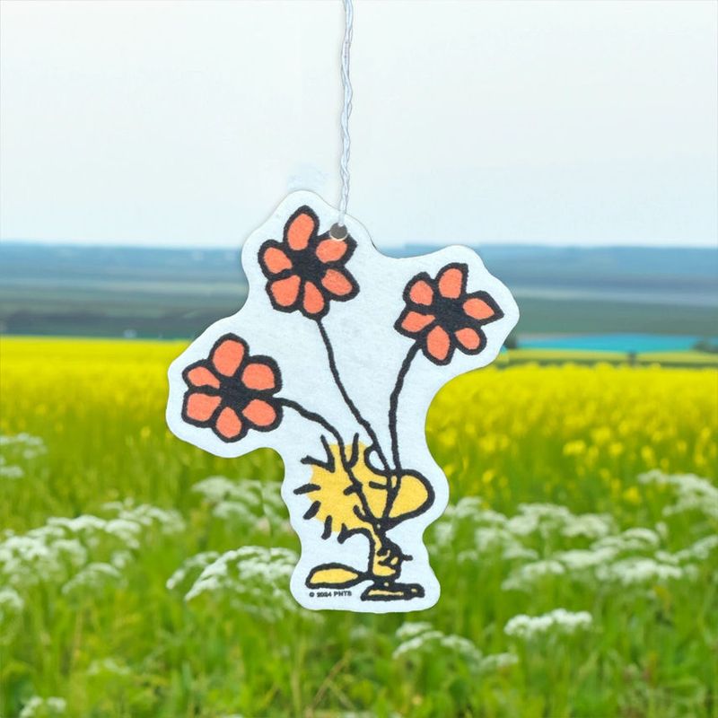 Air Fresheners