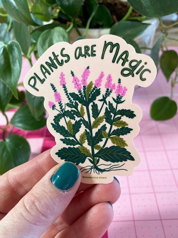 Nature And Plants