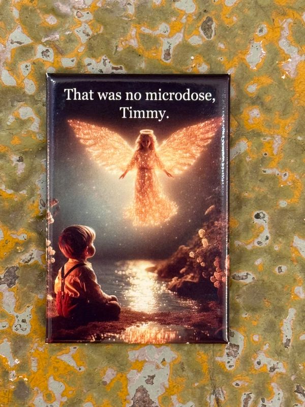Humorous Magnets
