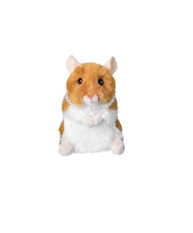 Pets