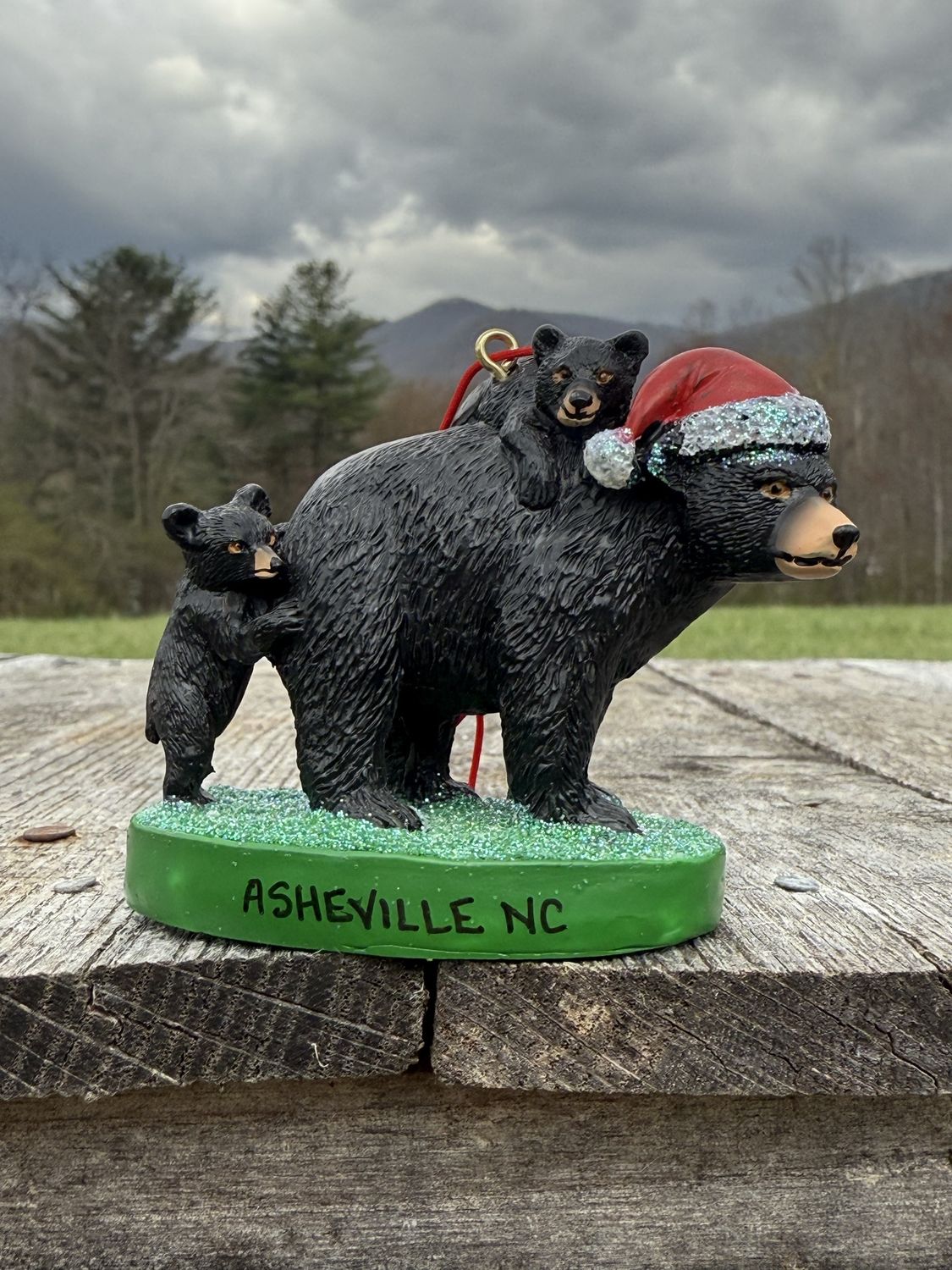 Asheville NC Santa Hat Black Bear Mother With Cubs Ornament