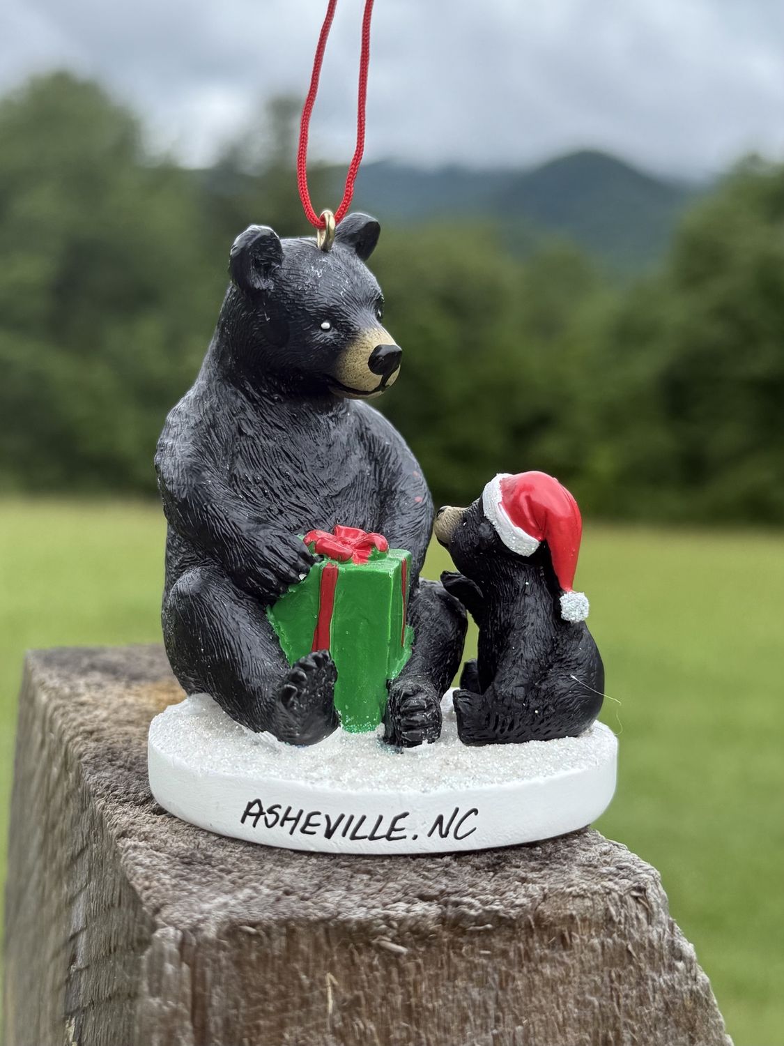 Black Bear And Baby Open Gifts Asheville Ornament