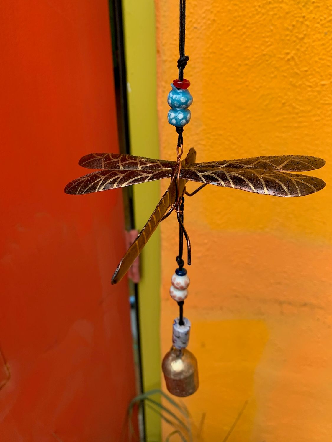 Small Coppertone Dragonfly