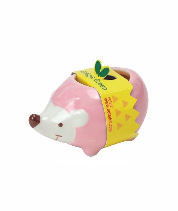 Hedgie Greenie Wild Strawberry