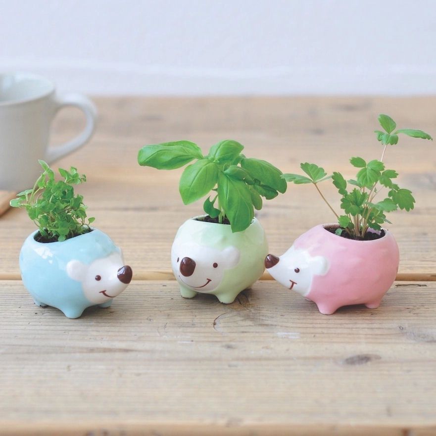 Hedgie Greenie Peppermint