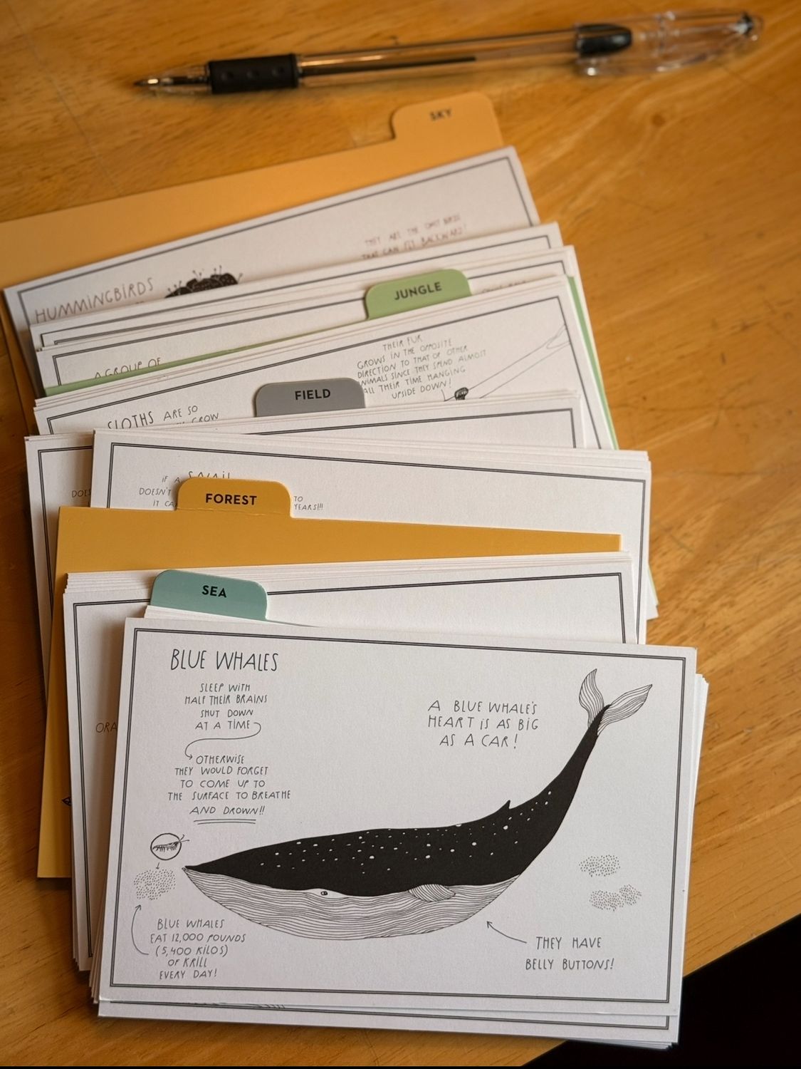 Amazing Animal Facts 50 Colorable Postcards