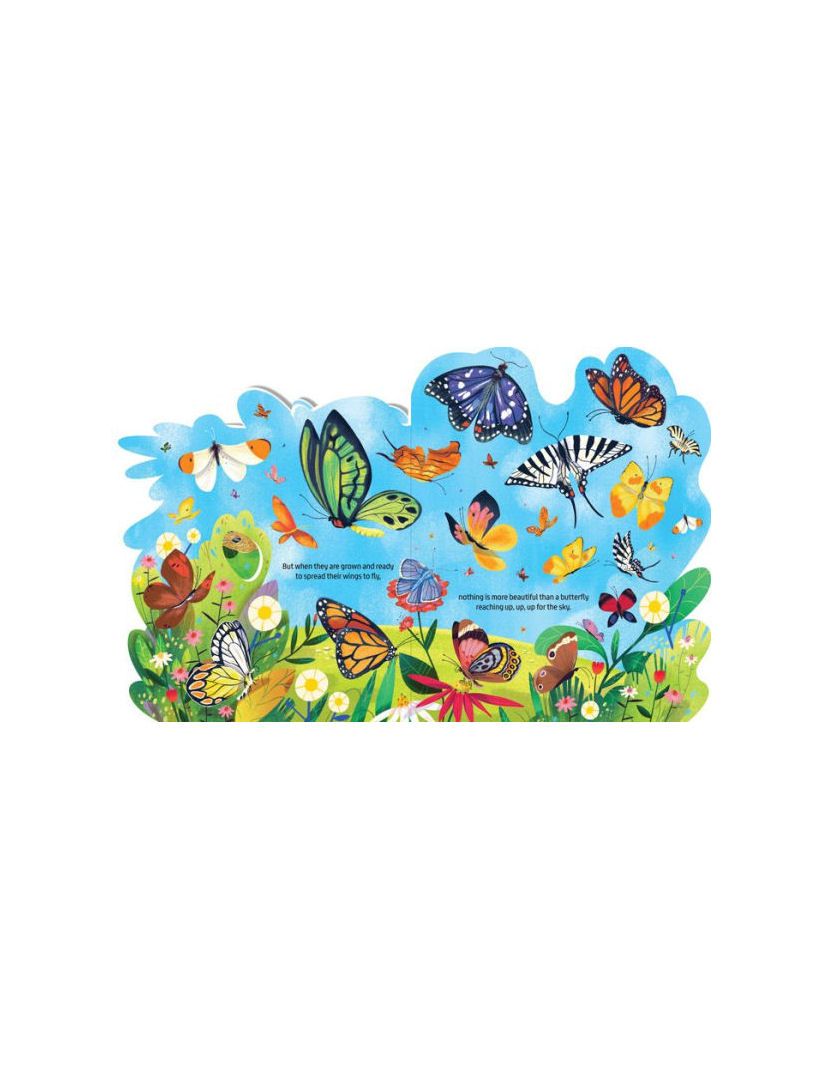 Beautiful Butterflies Board Book