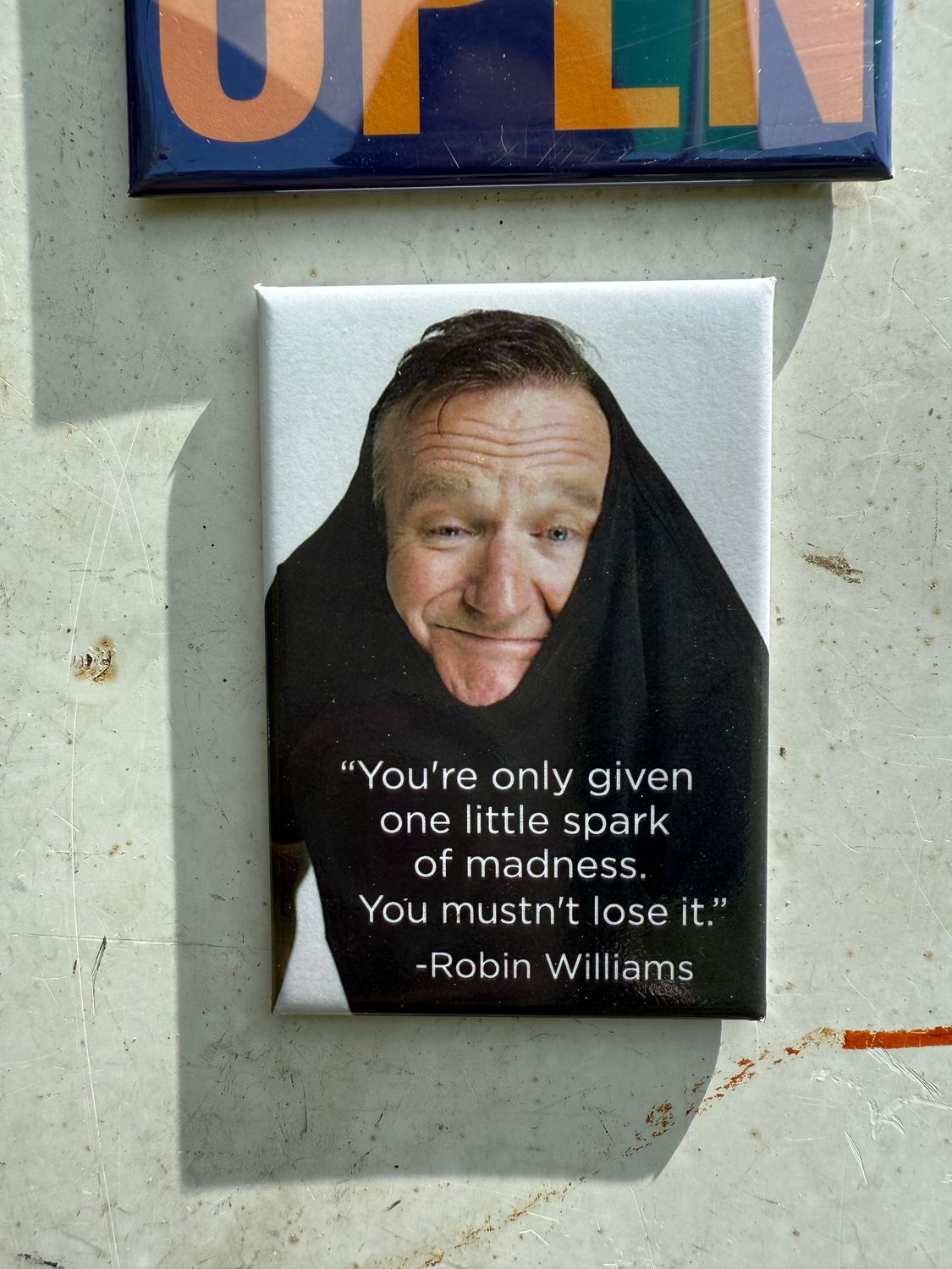 You're Only Given One Little Spark Of Madness Robin Williams Magnet