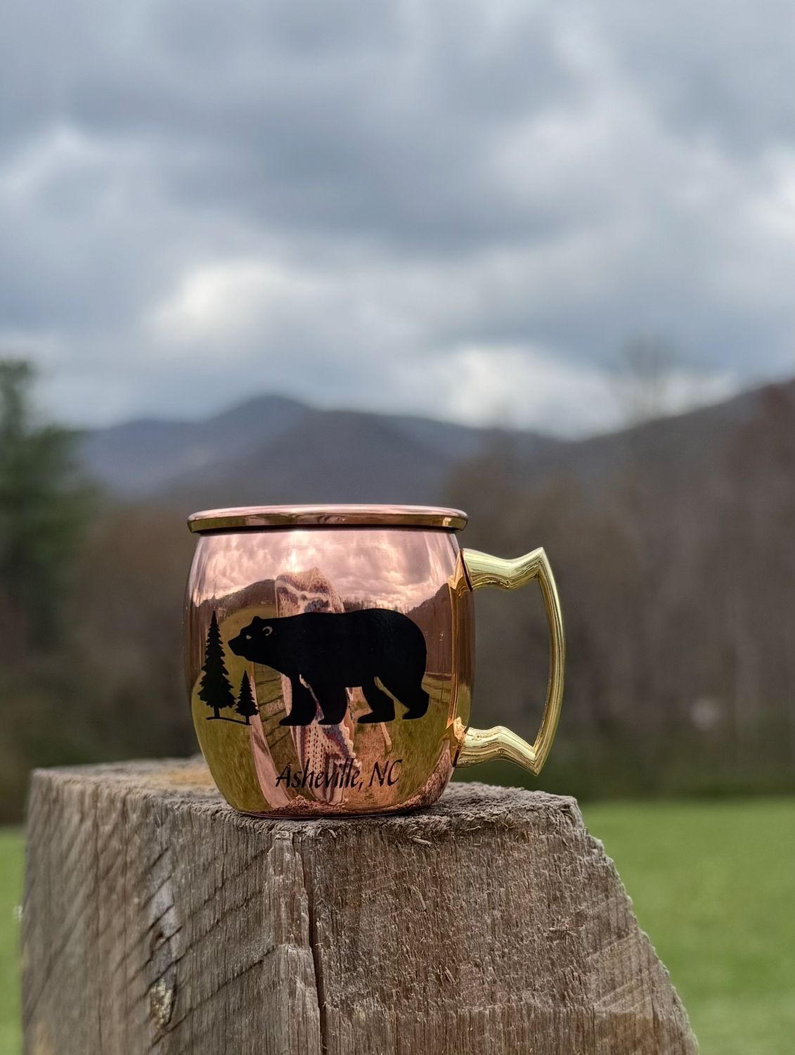 Asheville Bear Moscow Mule Shot Glass