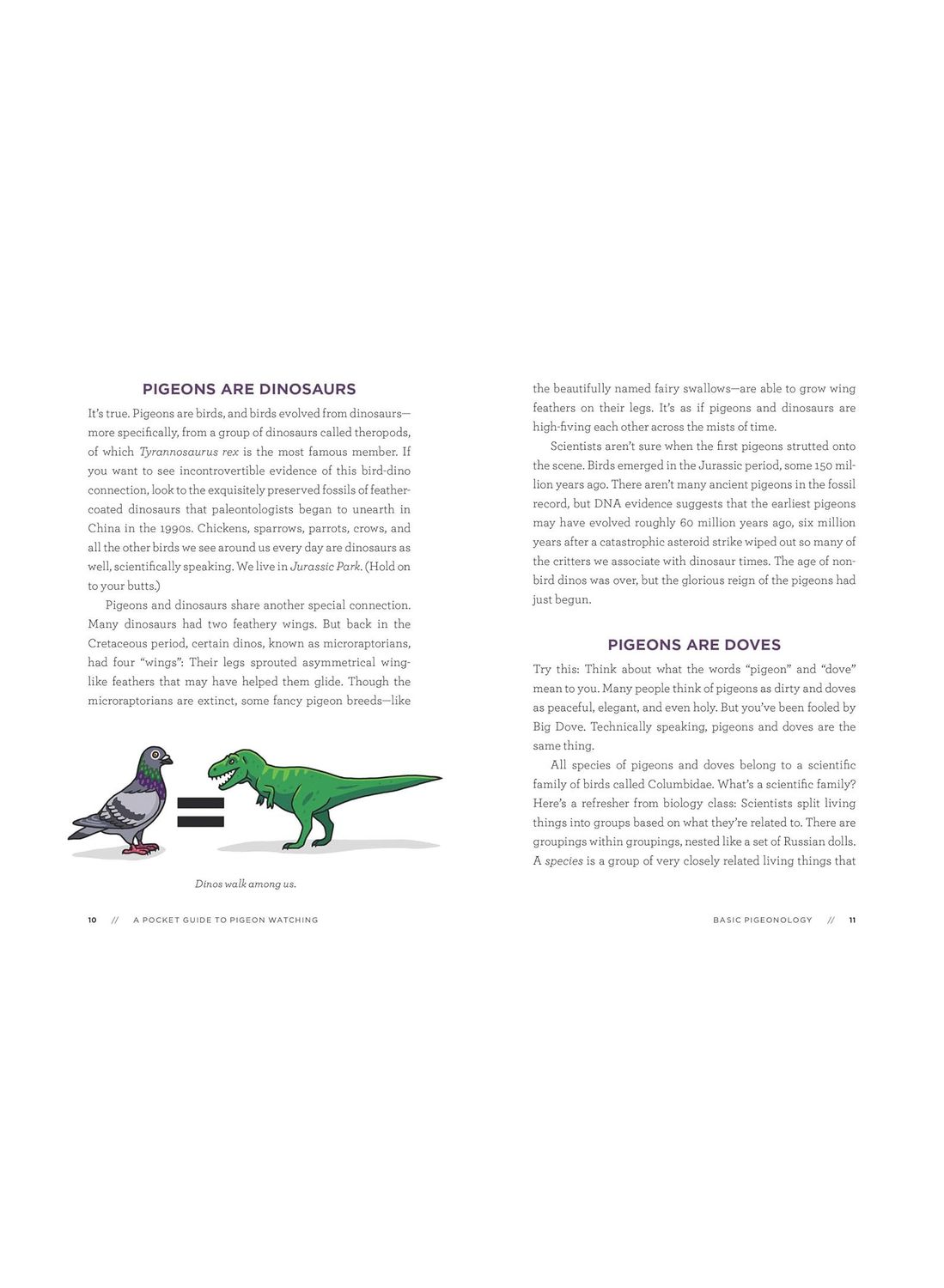 A Pocket Guide To Pigeon Watching Paperback Book