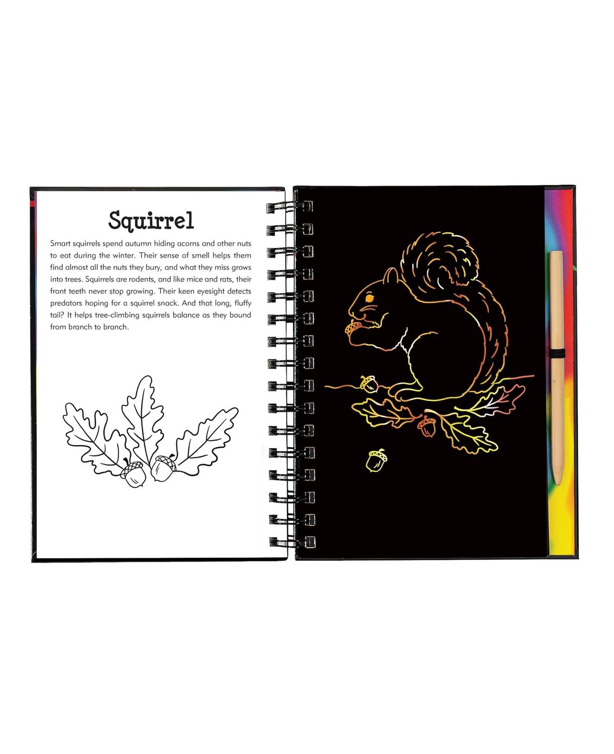 Scratch And Sketch Forest Friends Hardcover Spiral Book